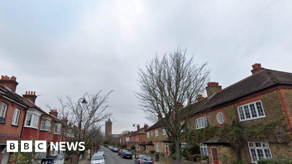 Ealing: Woman, 21, stabbed to death in West London alley – BBC