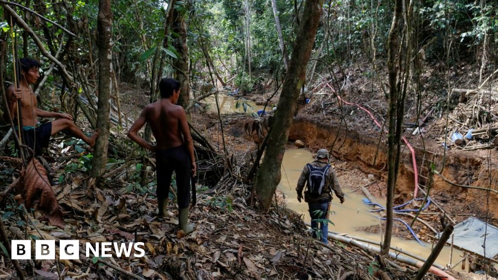 Brazil Amazon: Illegal miners fire on indigenous group