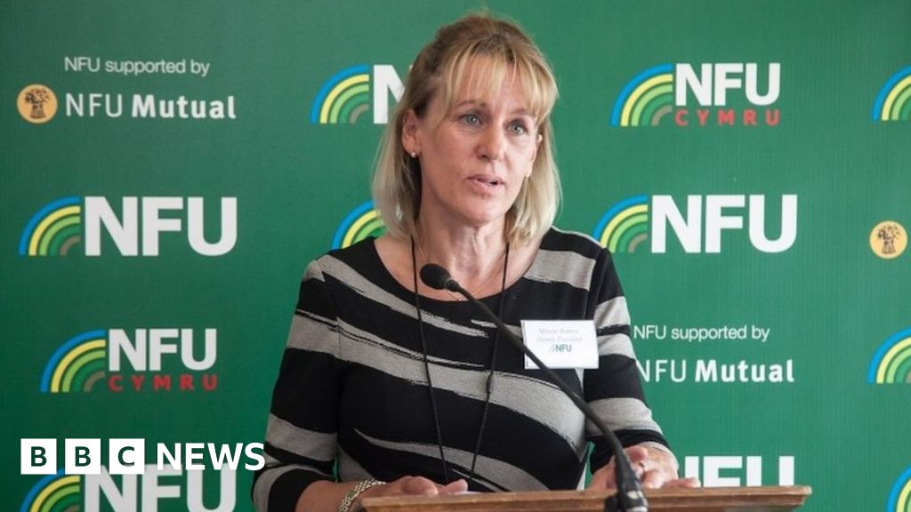 UK’s farming policies contradictory, says NFU head