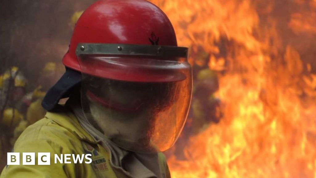 Deadly wildfires ravage SA tourist route