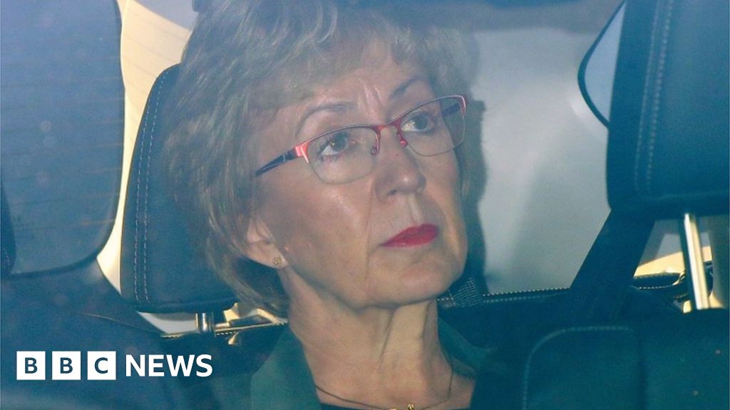 Commons Leader Andrea Leadsom Quits Government Over Brexit Bbc News 2080