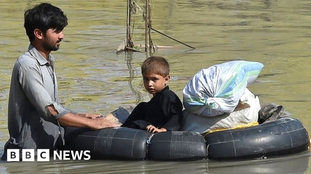 Pakistan floods: Disaster to cost more than $10bn minister says – BBC