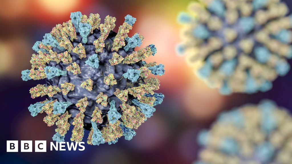 Could relatives of measles virus jump from animals to us?