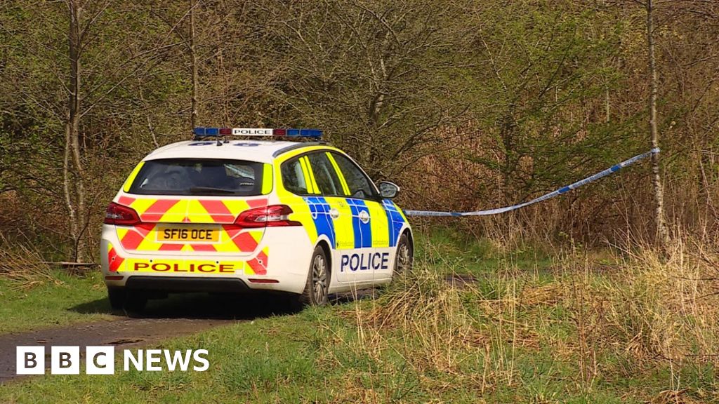 Girl 14 Sexually Assaulted In Woods At Linwood 