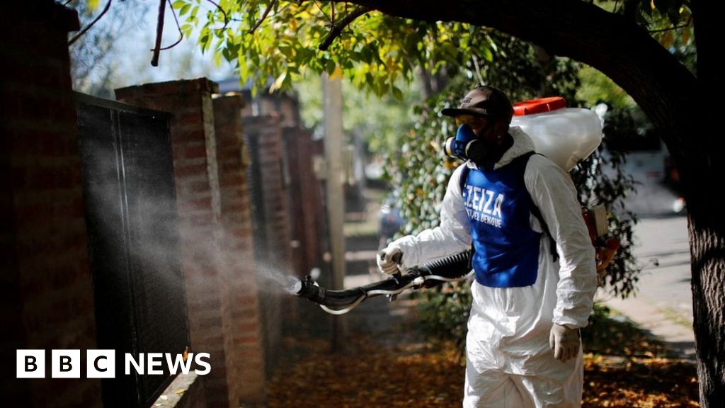 Argentina dengue: Record fever outbreak kills over 40