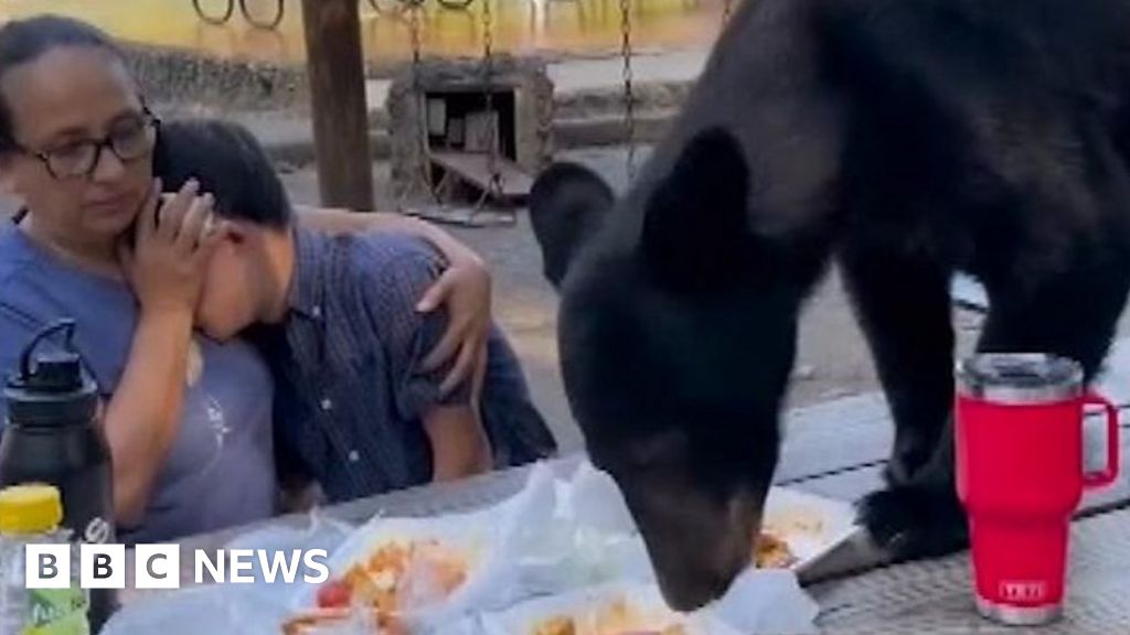 Group sits frozen as bear gatecrashes picnic in Mexico