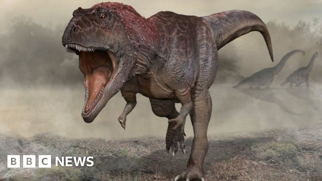 Dinosaur finding hints at why T-rex had small arms