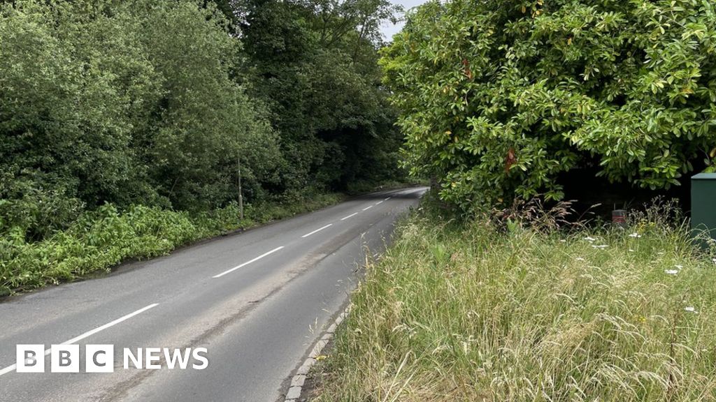 Three teens killed and one hurt as car hits tree in Oxfordshire