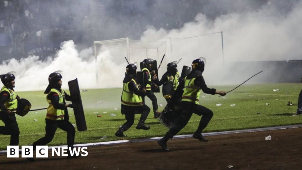 Tear gas fired by Indonesia police blamed for deadly football match crush, report says