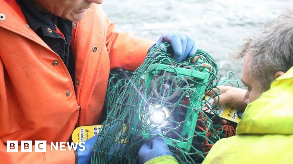 Tech promises to remove the guesswork from fishing – BBC News