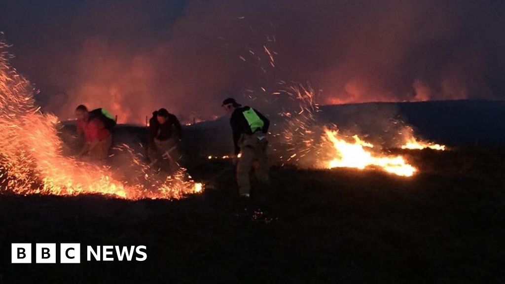 Most gorse fires 'started deliberately' BBC News