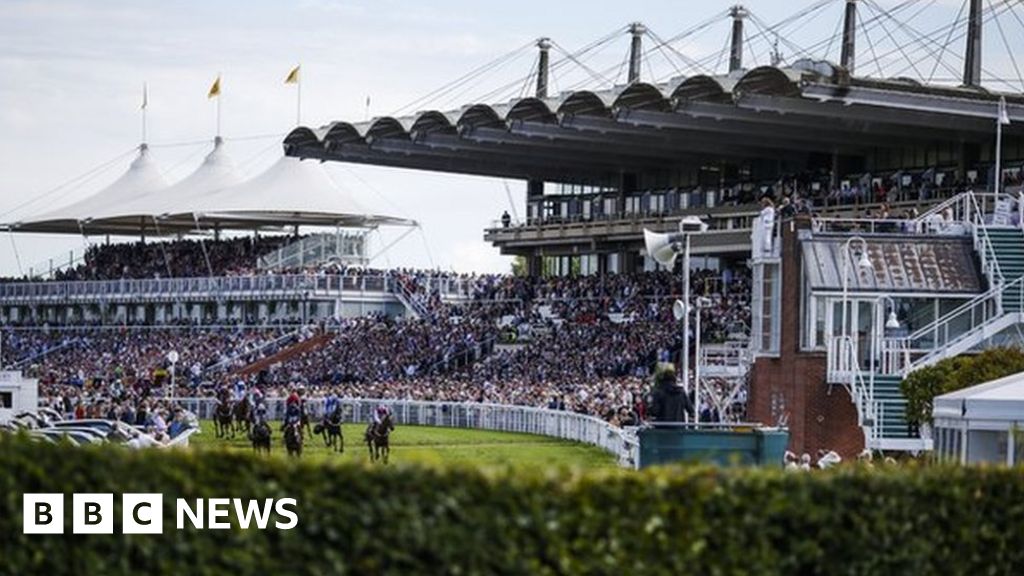 Goodwood racecourse brawl: Nine jailed