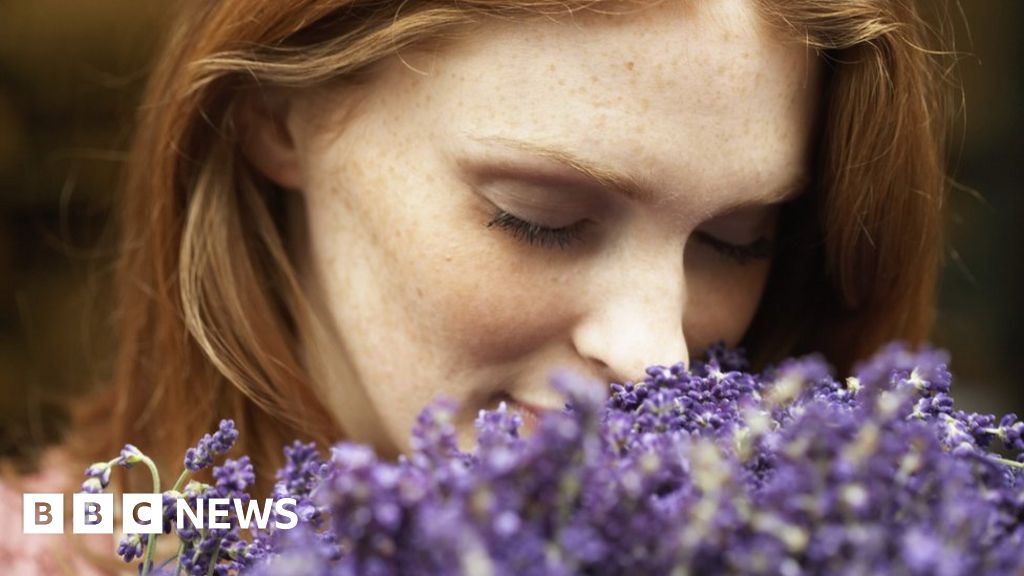 Left-handed women anomaly over sense of smell - BBC News thumbnail