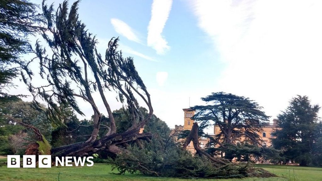 Osborne House: Tree at Queen Victoria’s retreat falls in high winds
