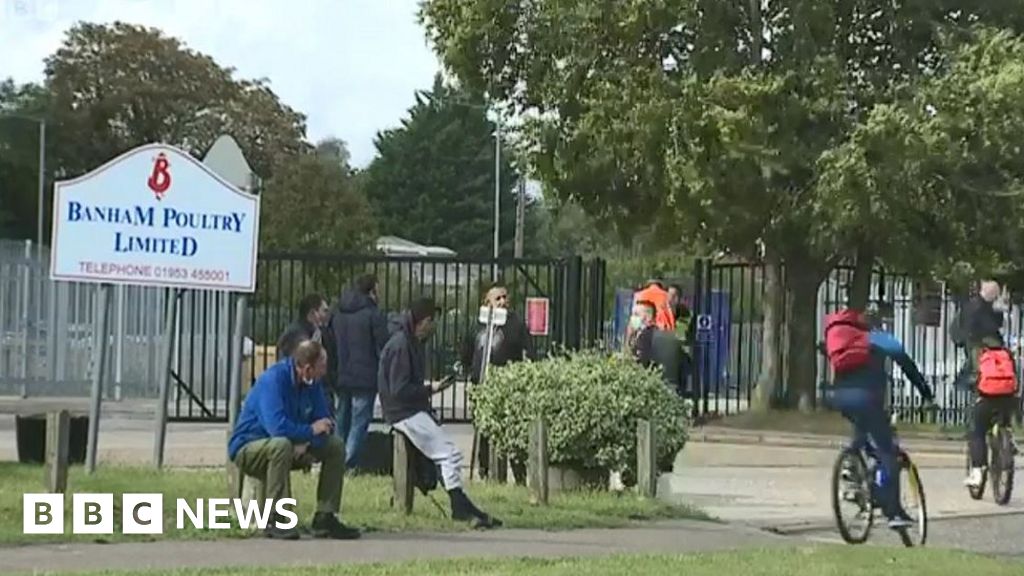 Hundreds to isolate after Banham Poultry factory Covid-19 outbreak thumbnail