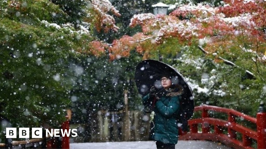 Tokyo sees first November snow in 54 years BBC News