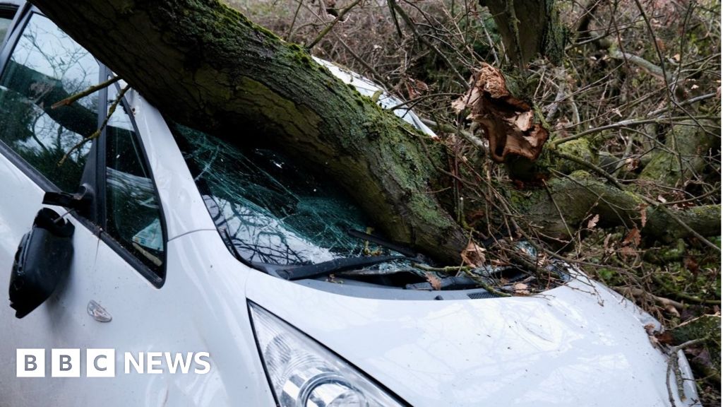 Women have 'lucky escape' as tree falls on car in storm