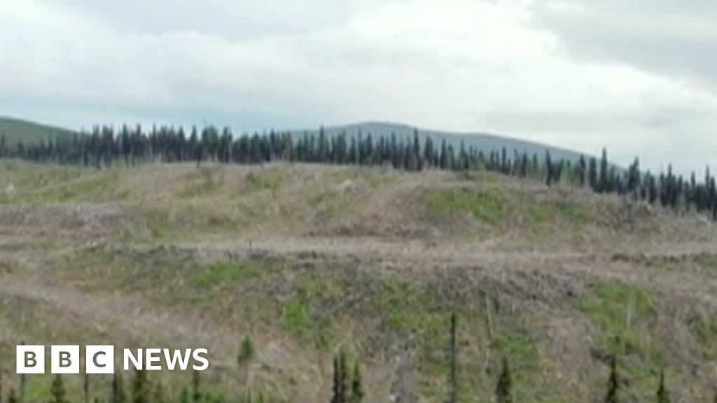 Drax: The Green Energy Scandal exposed