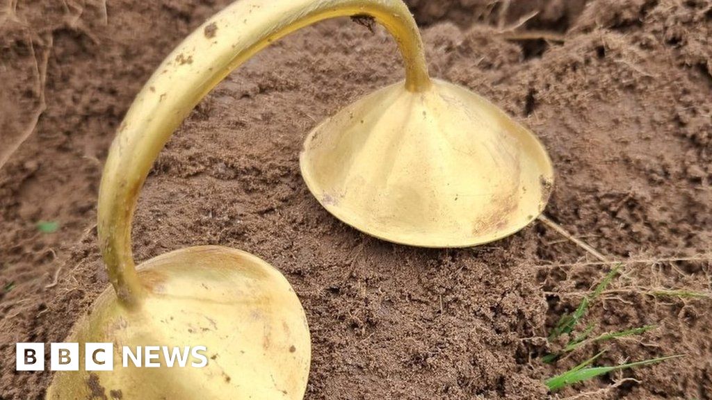 Nottinghamshire metal detectorist unearths rare Bronze Age artefact 