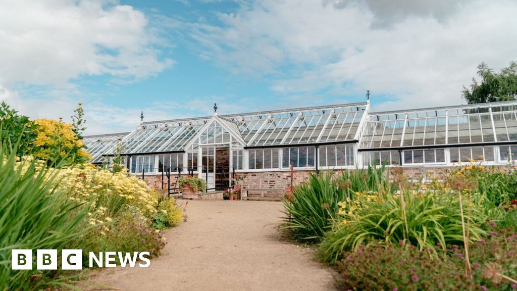 Helmsley Walled Garden reopens orchid house after major restoration