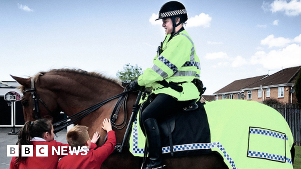 Merseyside Police horse sponsorship 'thin end of the wedge'