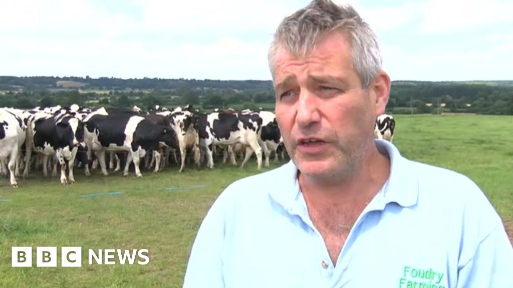 Dairy Farm Closures: More Than 1,000 Shut In Three Years - BBC News