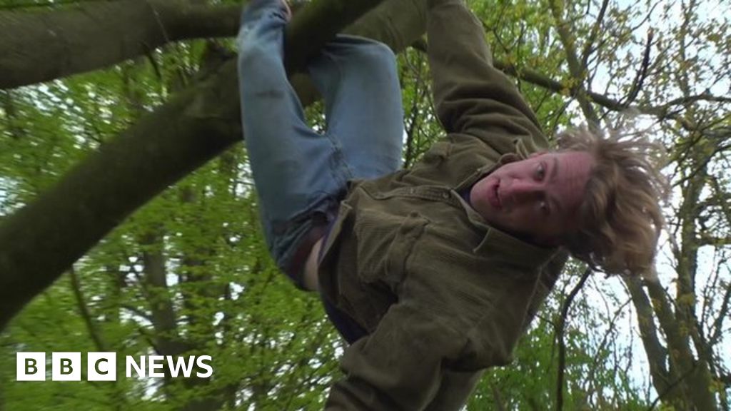 Author Jack Cooke gives ten tips for climbing trees BBC News