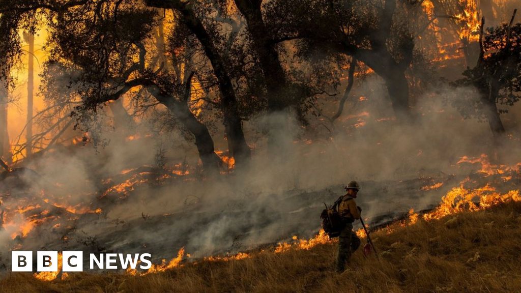 Kincade fire: Mass blackout begins amid California wildfires - BBC News