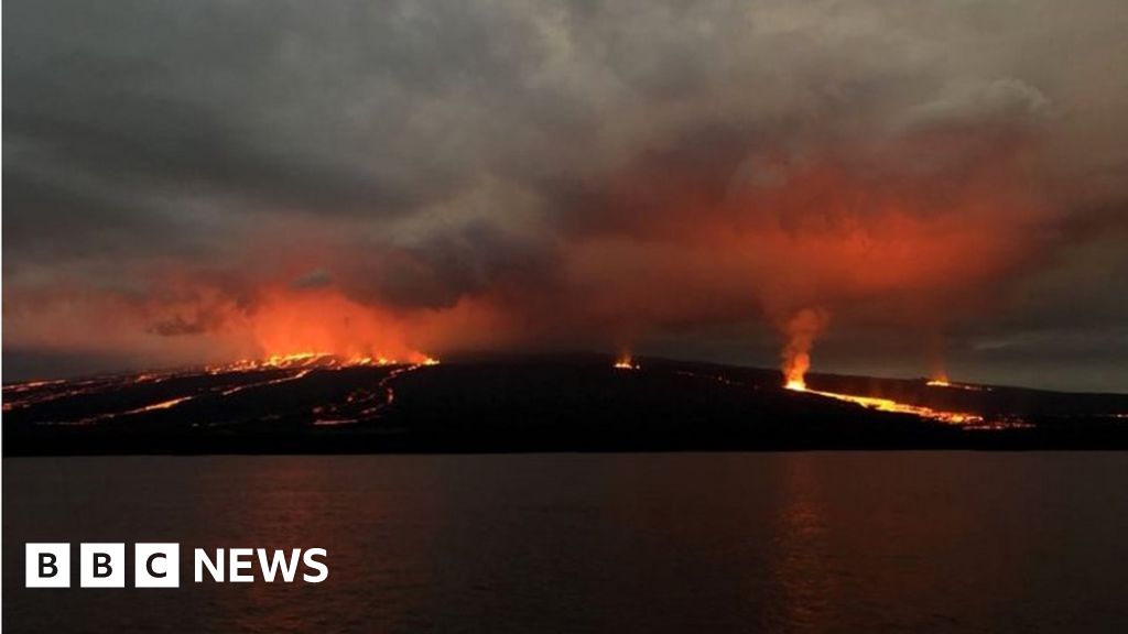 Galapagos' Sierra Negra volcano erupts