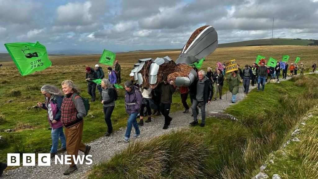 Campaigners call on Prince William to 'do more' with Dartmoor
