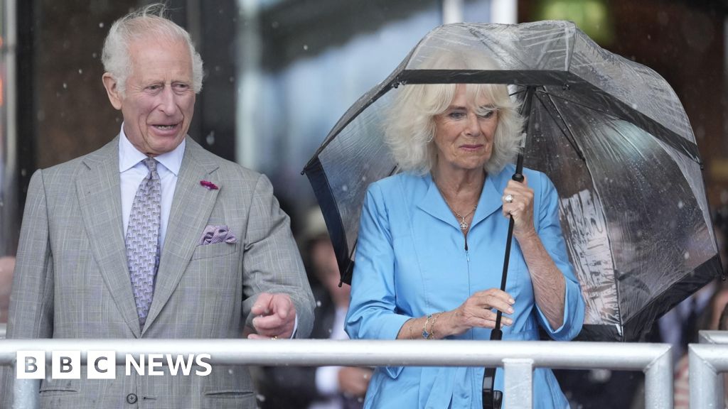 King and Queen watch scouts and a seagull in torrential rain