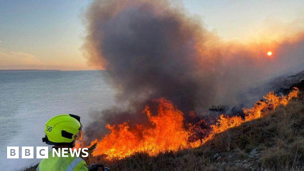 Devon fire prevention push urges picnics not barbecues - BBC News