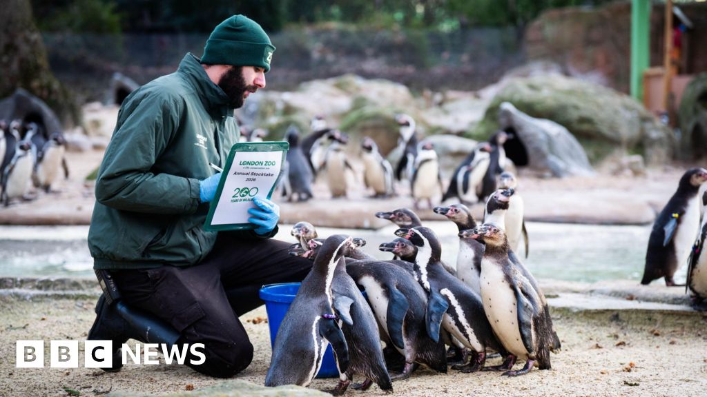 London Zoo's animal count begins as ZSL turns 200