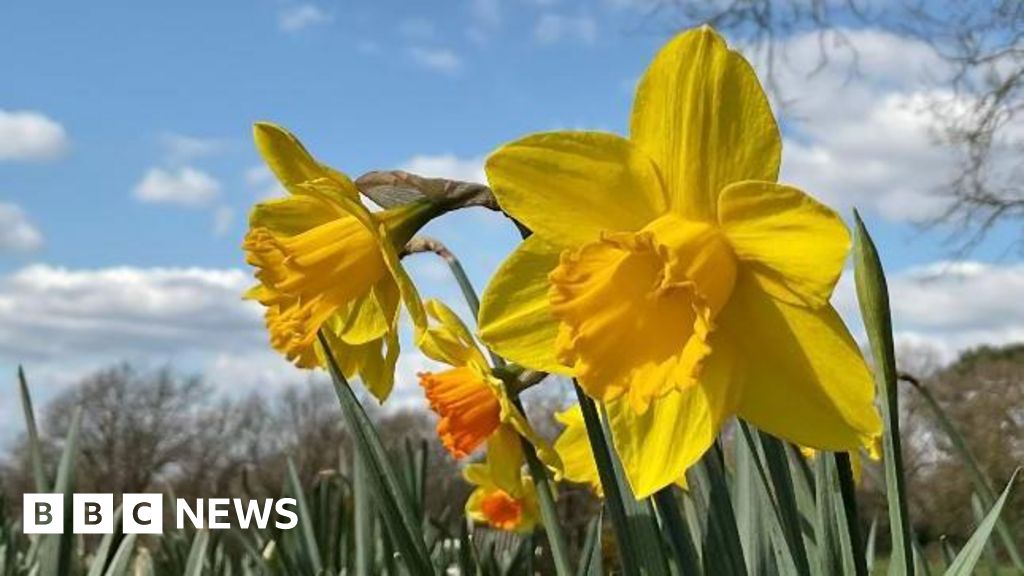 Rising temperatures to bring UK warm start to spring