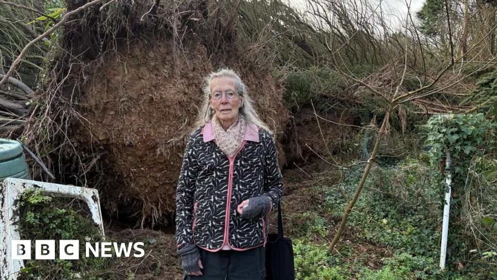 Woman calls for financial help after storm damage