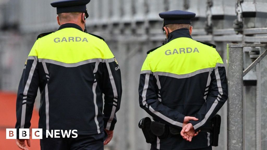 Girl Dies After Assault in New Ross