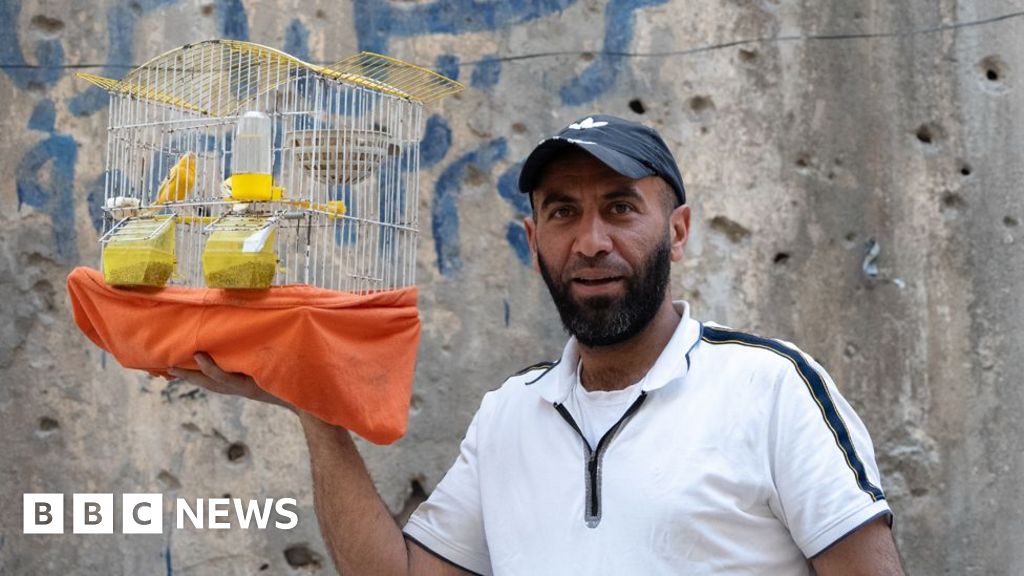 Overjoyed to return – but Syrians face daunting rebuild after years of war