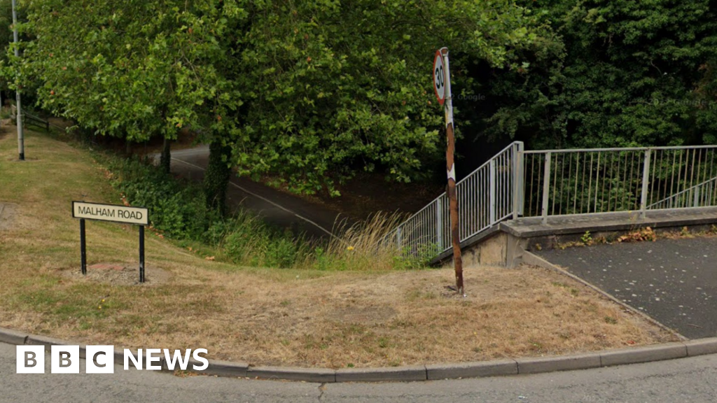 Appeal after cat shot and killed in Tamworth - BBC News