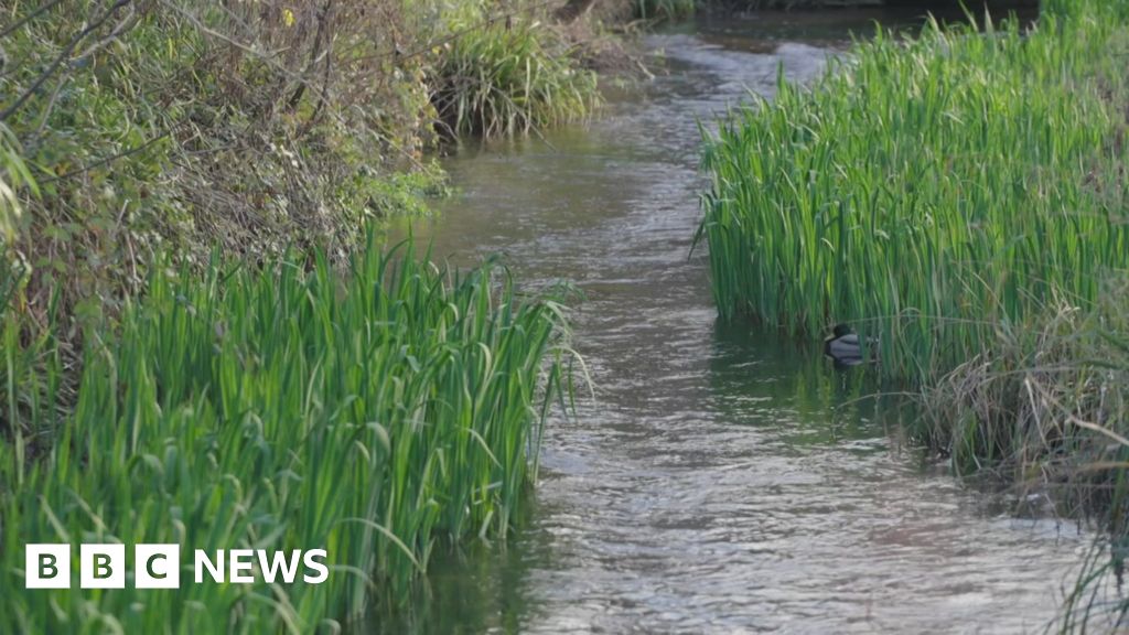 Campaigners push to better protect chalk streams