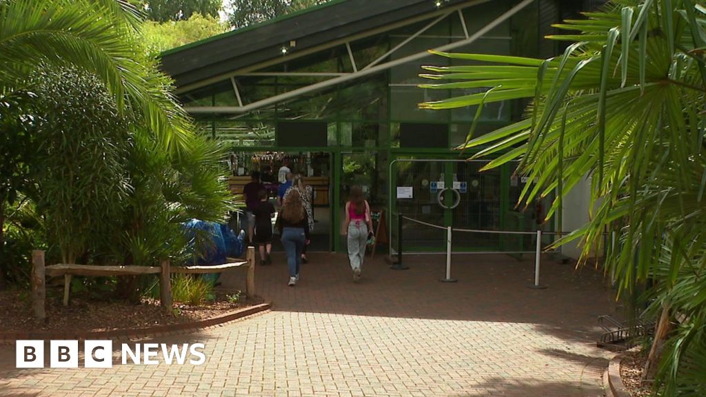 Job losses announced at Paignton Zoo and Newquay Zoo - BBC News