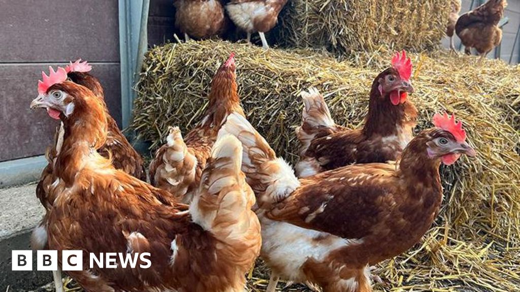 New Evenley plant turning manure into power gets green light