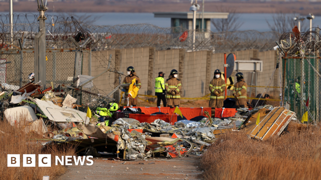 What we know about the South Korea plane crash