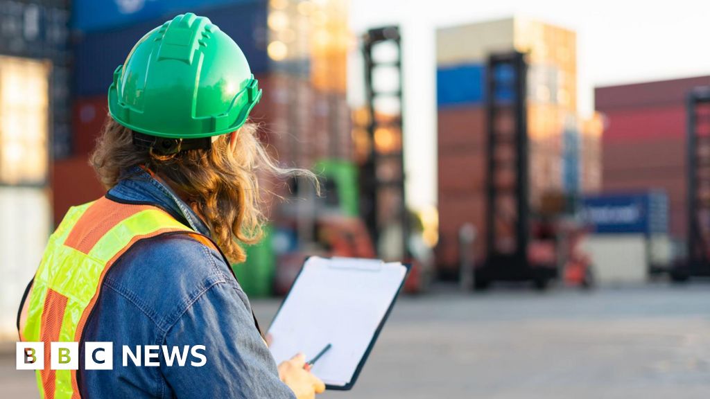 bbc.co.uk - Brendan Hughes - NI Brexit: Windsor Framework guidance 'not fit for purpose' - panel - BBC News