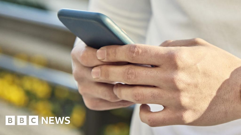 Bedfordshire detective sent 'predatory' sex messages to woman