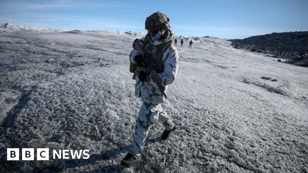 Vance criticises Denmark and Europe's handling of 'critical' Greenland