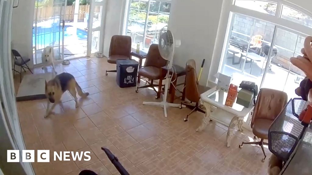 Watch: CCTV captures moment earthquake hits California