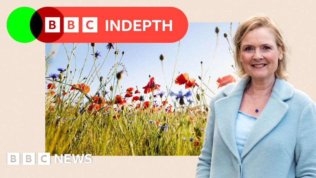 Martha Kearney: I'm worried about Britain's wildflowers - so my husband and I planted a meadow