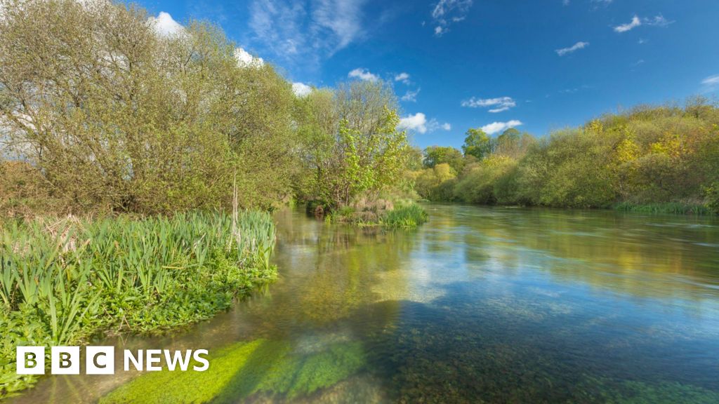 Sewage spills threatening salmon survival, says MP
