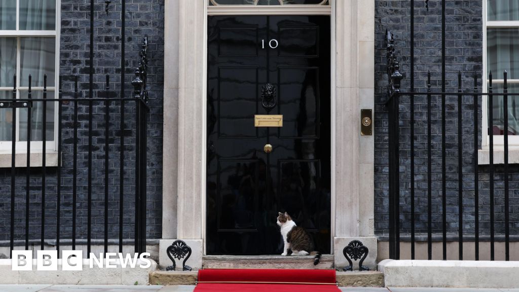 Starmer welcomes Siberian kitten to Downing Street