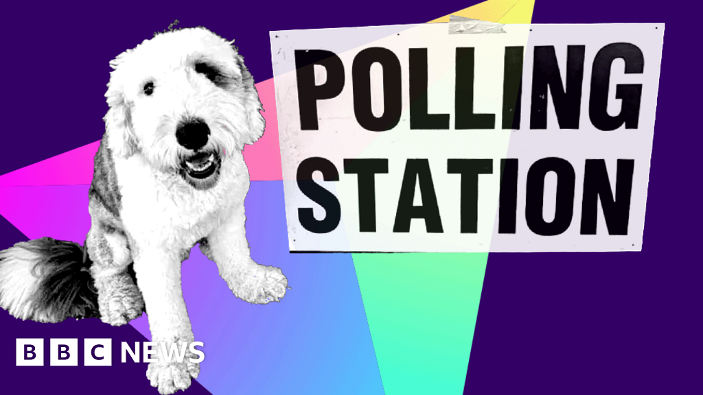 In pictures: Polling station pets include dogs, horse and snake